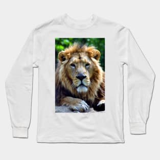 Asiatic Lion Panthera Leo Persica Big Cat Male Long Sleeve T-Shirt